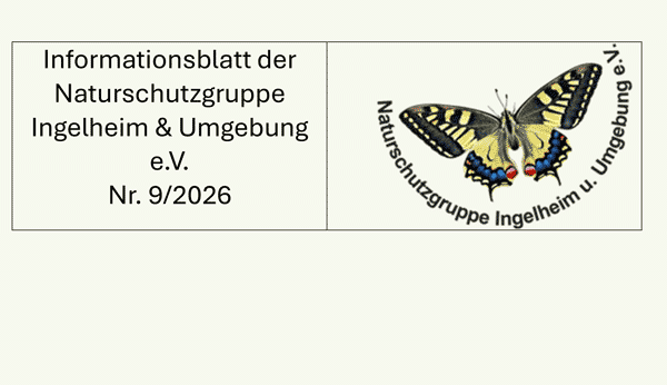 Newsletter-Archiv
